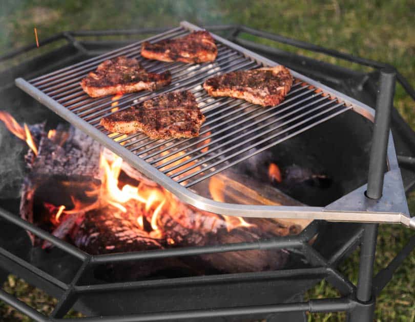 Support de rôtissage en acier inoxydable, support de cuisson antiadhésif  pour Barbecue, fumeur de bœuf, Grill